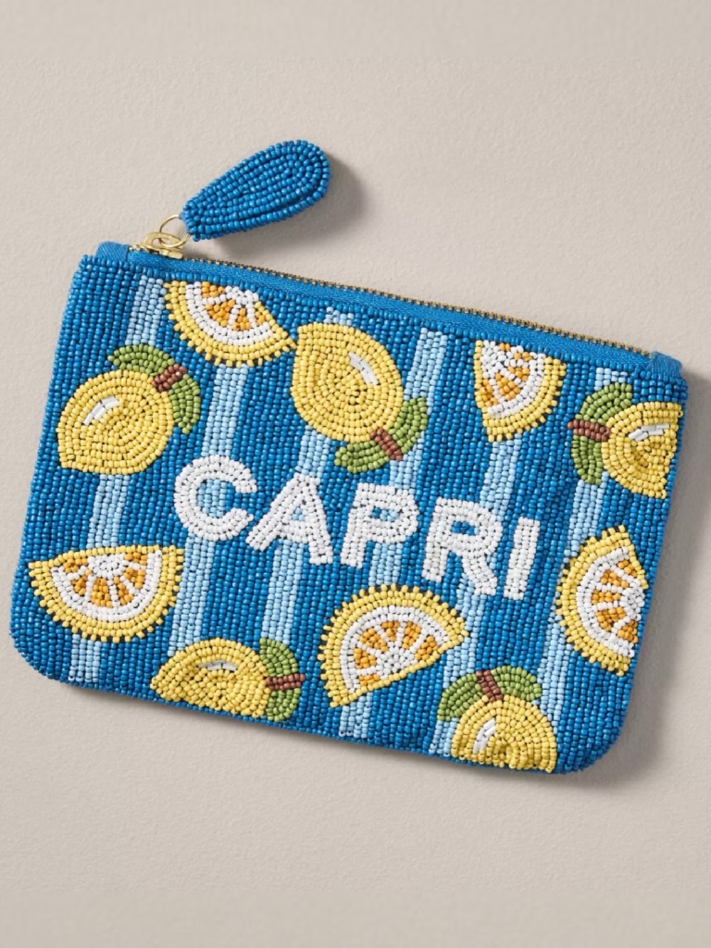 Anthropologie The Fiona Medium Beaded Pouch: City Edition
